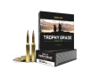 Nosler Trophy Grade TGA - 300 SAUM 180g PT SP  20ct  Ammunition 60062