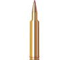 Hornady Precision Hunter  257 Wby Mag 110gr Ammunition w ELD-X Bullets  20 Box  81364