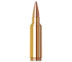 Hornady Superformance  300 Win Mag 165gr Ammunition w CX Bullets  20 Box  820264