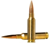Norma Golden Target 6 5 Creedmoor 143gr Centerfire Rifle Ammo  20 box  10166522