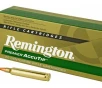 Remington  204 Ruger 40gr     20 Rounds- 12 Shipping