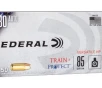 Federal  380 ACP 85gr     50 Rounds- 12 Shipping