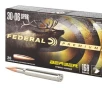 Federal  30-06 168gr     20 Rounds- 12 Shipping