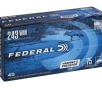 Federal  243 Win 75gr     40 Rounds- 12 Shipping