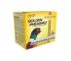 Fiocchi 16GP6 Golden Pheasant Extrema 16 Gauge 2-3 4 1-1 8oz  6 1310 fps