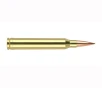 Nosler Trophy Grade Long Range Rifle Ammunition 300 WSM 190 gr  ABLR SP 20 rd  2875 FPS