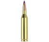 Nosler Ballistic Tip  243 Winchester 70 Gr PolyTip