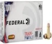 Train   Protect  10mm Auto  180 Grain  Versatile Hollow Point  1175 fps