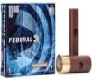Power-Shok Rifled Slug  10 Gauge  766 Grain  3-1 2 in  1280 fps