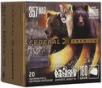 Solid Core  357 Magnum  180 Grain  Solid  1215 fps