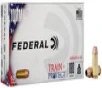 Train   Protect 10mm Auto 180 Grain
