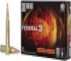 Federal Fusion  300 WIN MAG  180gr  Tipped - 20 rounds