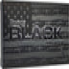 Hornady Ammo Black  300 Blkout 110gr  V-Max 20-Pack
