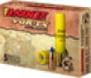 Barnes Ammo Slug 20Ga  2 75 250Gr  Expander Tipped 5-Pack 20735