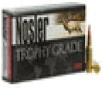 Nosler 60146 Trophy Grade Long Range 6 5 Grendel 129 gr AccuBond 20 Bx  10 Cs