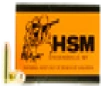 HSM 10MM2N Training 10mm Automatic 180 GR FMJ 50 Bx  20 Cs