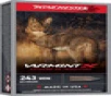 VARMINT X 243 WINCHESTER 65GR POLYMER EXTREME POINT 20 BOX UPC  020892233317