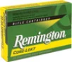 REM 2506 100GR PSP-CORELKT 20B