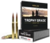 Nosler 46134 Trophy Grade 30-06Springfield 180gr Nosler AccuBond 20 Per Box 10 Case
