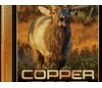 Winchester Ammo X68WCLF Copper Impact 6 8Western 162gr Copper Extreme Point Lead Free 20 Per Box 10 Case