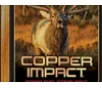 Winchester Ammo X3006CLF2 Copper Impact 30-06Springfield 180gr Copper Extreme Point Lead Free 20 Per Box 10 Case