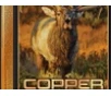 Winchester Ammo X300SCLF2 Copper Impact 300WSM 180gr Copper Extreme Point Lead Free 20 Per Box 10 Case