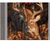 Winchester Ammo X7DS Deer Season XP 7mmRemMag 140gr Extreme Point 20 Per Box 10 Case