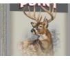 Winchester Ammo X7MM1 Super X 7mmMauser 145gr Power Point 20 Per Box 10 Case