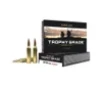 Nosler 48263 Trophy Grade 243Win 90gr Nosler AccuBond 20 Per Box 10 Case