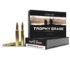 Nosler 60043 Trophy Grade 280Ackley Improved 140gr Nosler AccuBond 20 Per Box 10 Case
