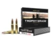 Nosler 60049 Trophy Grade 308Win 165gr Nosler AccuBond 20 Per Box 10 Case