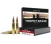 Nosler 60099 Trophy Grade Long-Range 33Nosler 265gr Nosler Spitzer AccuBond Long Range 20 Per Box 10 Case