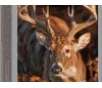Winchester Ammo X300SDS Deer Season XP 300WSM 150gr Extreme Point 20 Per Box 10 Case
