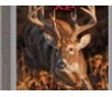 Winchester Ammo X300DS Deer Season XP 300WinMag 150gr Extreme Point 20 Per Box 10 Case