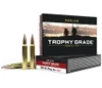 Nosler 60126 Trophy Grade Long-Range 300WinMag 190gr Nosler Spitzer AccuBond Long Range 20 Per Box 10 Case