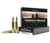 Nosler 60065 Trophy Grade 300RUM 180gr Nosler AccuBond 20 Per Box 10 Case