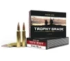 Nosler 60118 Trophy Grade Long-Range 30Nosler 210gr Nosler Spitzer AccuBond Long Range 20 Per Box 10 Case