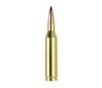 Nosler 40041 243Win 70gr Ballistic Tip Varmint 20 Per Box 10 Case