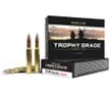Nosler 46134 Trophy Grade 30-06Springfield 180gr Nosler AccuBond 20 Per Box 10 Case