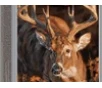 Winchester Ammo X300SDS2 Deer Season XP 300WSM 180gr 20 Per Box 10 Case