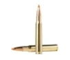 Norma Ammunition 20174342 Dedicated Hunting Tipstrike 30-06Springfield 170gr Polymer Tip 20 Per Box 10 Case