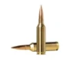 Norma Ammunition 10166462 Dedicated Precision Golden Target Match 6 5PRC 143gr Hollow Point Boat Tail 20 Per Box 10 Case