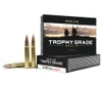 Nosler 48634 Trophy Grade 9 3mmx62Mauser 250gr Nosler AccuBond 20 Per Box 10 Case