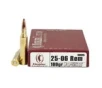 Nosler 25-06 100GR PT 20rds 