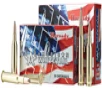 Hornady American Whitetail Brass  243 Win 100Gr 20-Rounds SPBT 