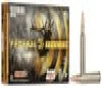 Federal Premium Nickel Plated Brass  300 Win Mag 165 Grain 20-Rounds TSX 