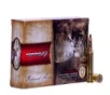 Norma American PH  243 Win 100-Grain 20-Rounds Oryx 