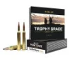 Nosler Trophy Grade Brass 7mm Rem Mag 160-Grain 20-Rounds Partition 