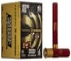 Federal Premium Personal Defense  410 GA 5 Pellets 000 Buck 20-Rounds 3  