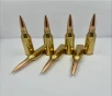  300 Norma Magnum  215 grains Berger Hybrid Target  New Brass  40 Rounds Ships Out Quickly   